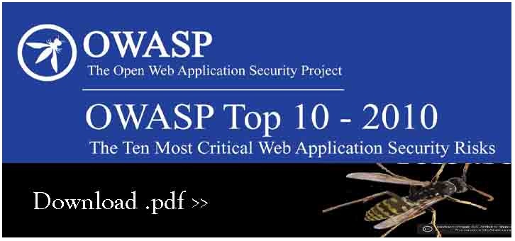 Download Owasp's Top 10 Most Critical Web Application Risk